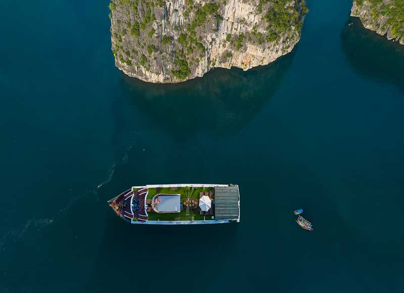 Luxury Flamingo Cruise