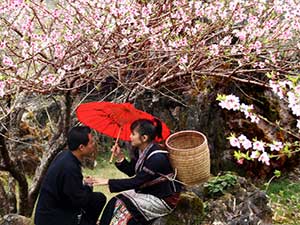 Sapa Love Market