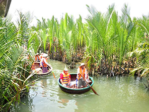 Bay Mau coconut forest