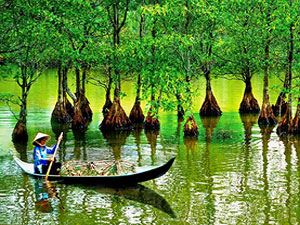 Can Gio Mangrove Forest