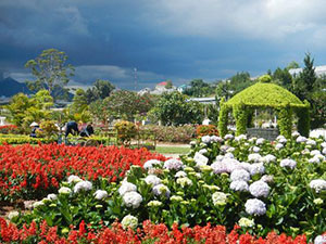 Da Lat flower garden