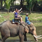 Elephant riding