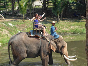 Elephant riding