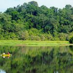 Nam Cat Tien National park