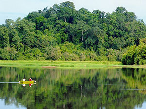 Nam Cat Tien National park