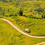 Mu Cang Chai