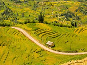 Mu Cang Chai