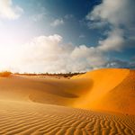 Red Sand Dunes