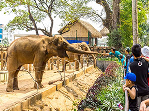 Saigon zoo and Botanical garden