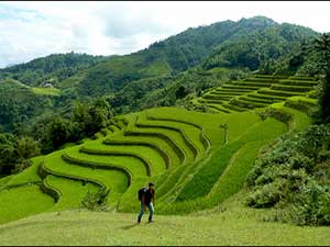 northwest vietnam