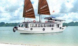 Private Cruise Day Tour